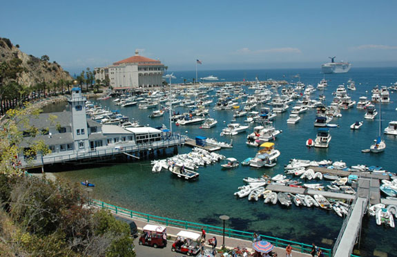 Catalina Island View