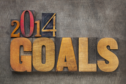 2014 Shopping and Wardrobe Goals