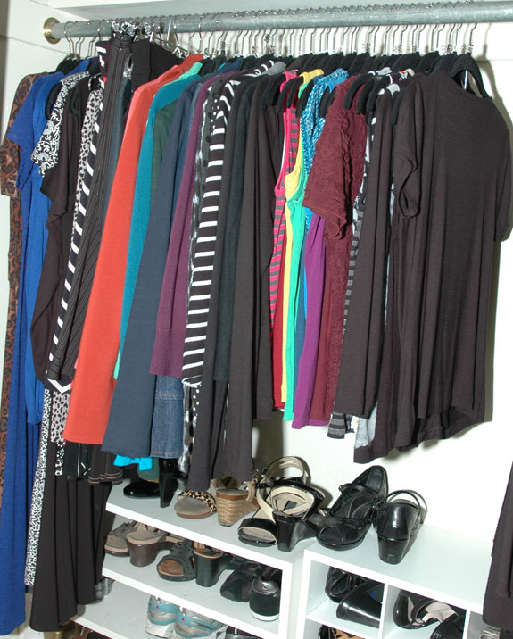 Skirts & Dresses Closet Section
