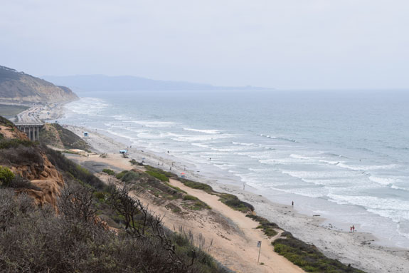torrey pines beach